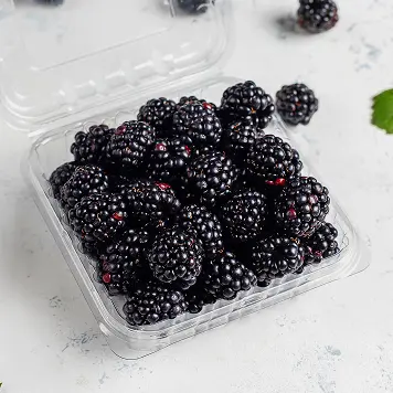 food tray image